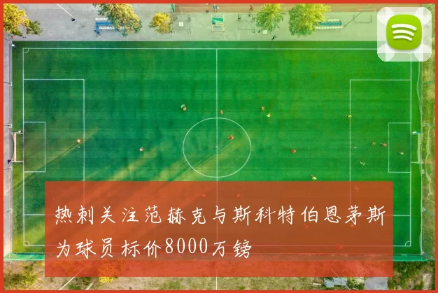 热刺关注范赫克与斯科特伯恩茅斯为球员标价8000万镑