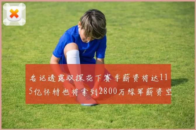 名记透露双探花下赛季薪资将达115亿怀特也将拿到2800万绿军薪资空间依旧紧张