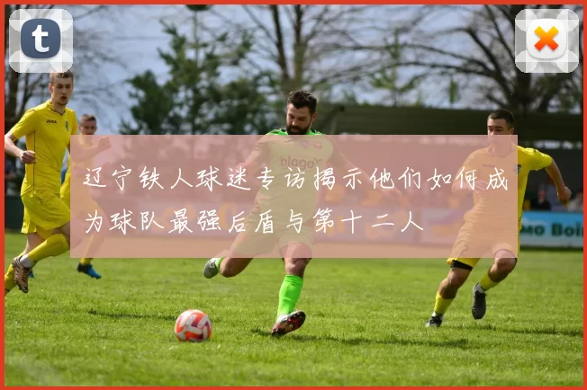 辽宁铁人球迷专访揭示他们如何成为球队最强后盾与第十二人